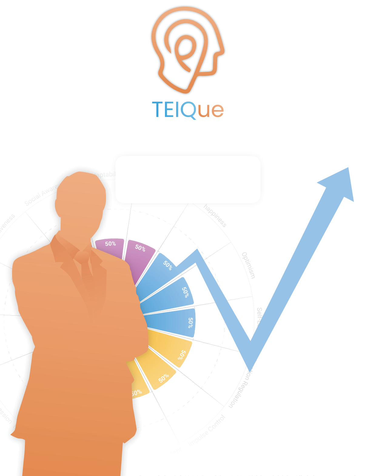 TEIQue Report